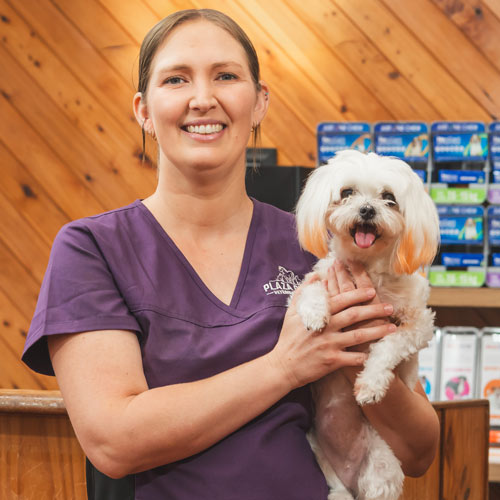 Profile-Dr-Maddy Maddy - Plaza Circle Vets
