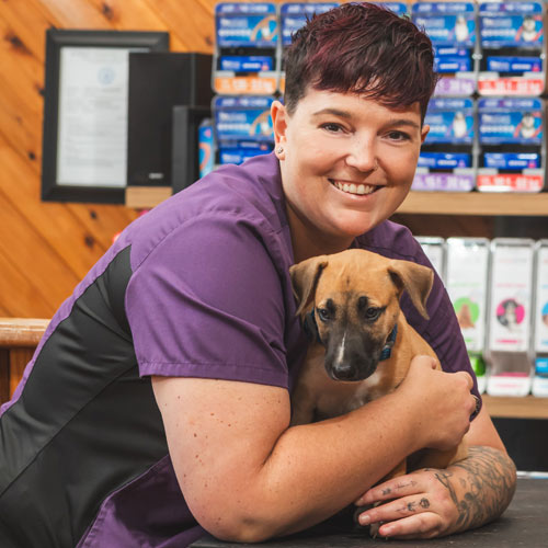 Profile-Nurse-Louise Louise - Plaza Circle Vets
