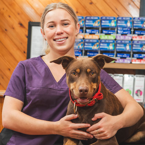 Profile-Nurse-Sienna Sienna - Plaza Circle Vets